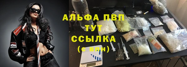 прущая мука Иннополис