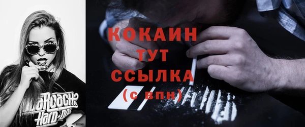 соль ск Инсар