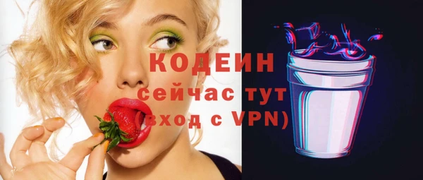 соль ск Инсар