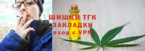 соль ск Инсар