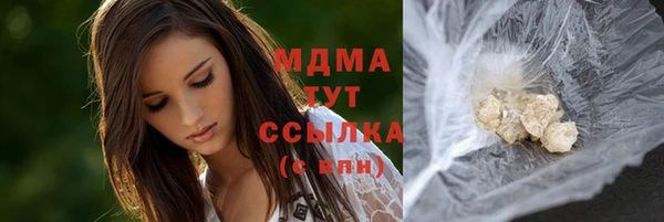 соль ск Инсар