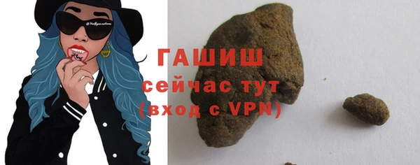 соль ск Инсар