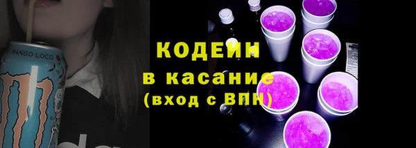 соль ск Инсар