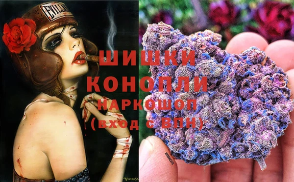 соль ск Инсар