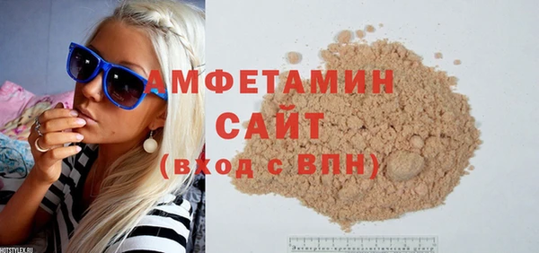 соль ск Инсар